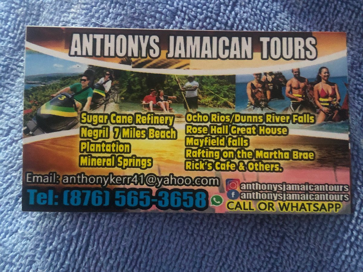 Tour Guide In Jamaica Private Tours 2022 Qué Saber Antes De Ir Lo Más Comentado Por La