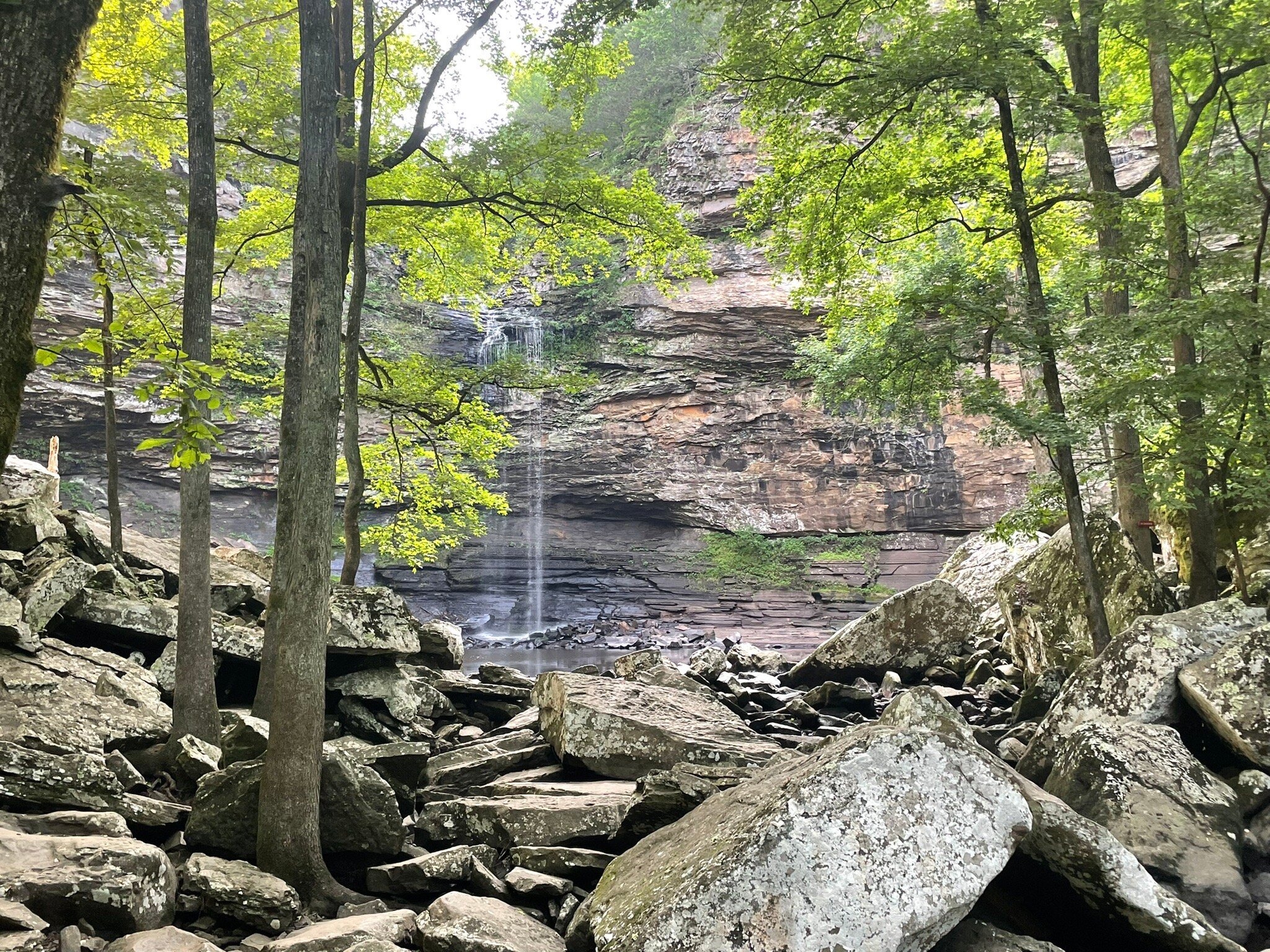 tripadvisor petit jean state park