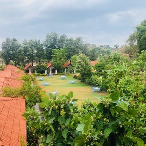 Luxury & Family Cottage outer view from restaurant.