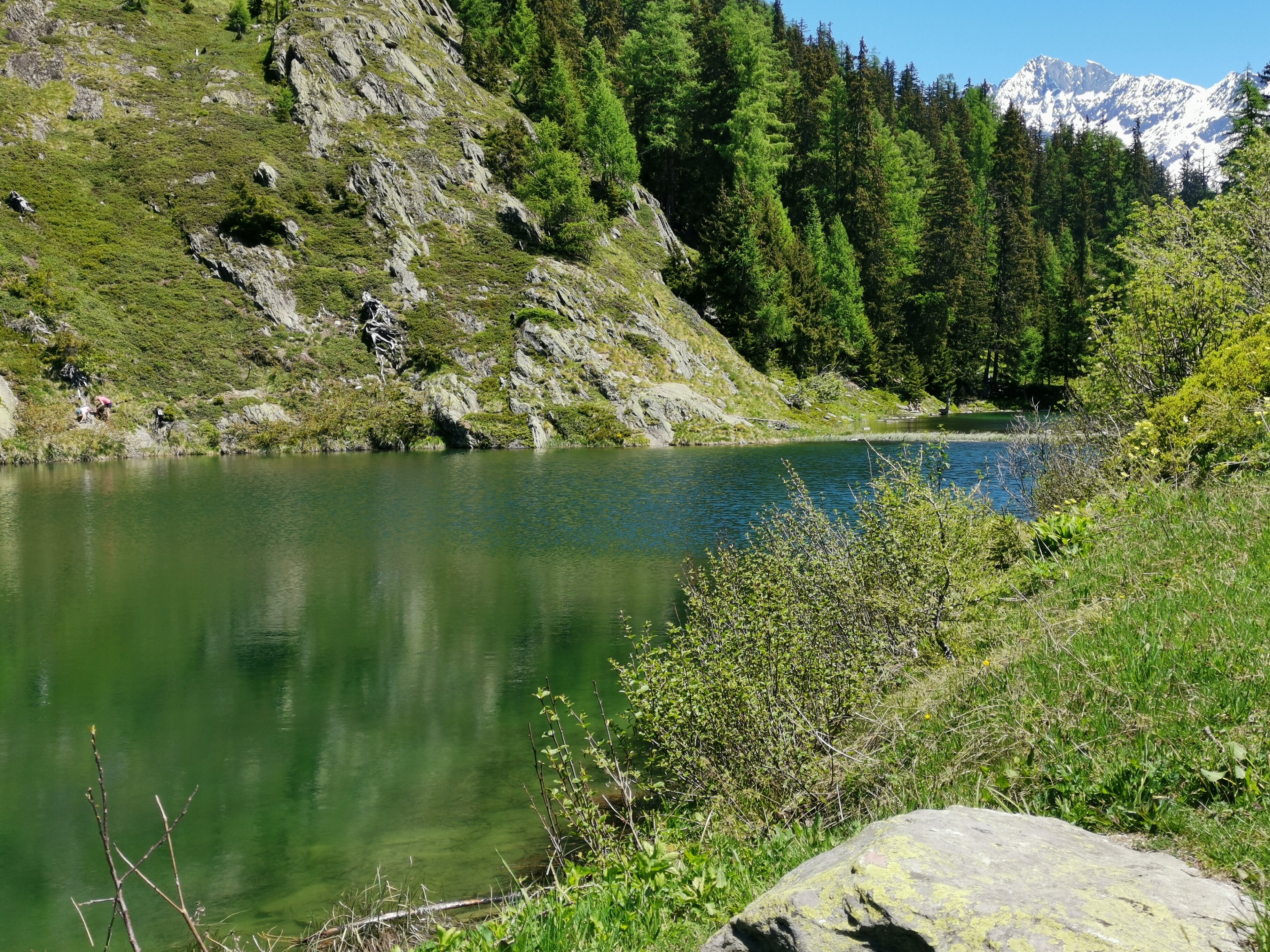 HOTEL EDELWEISS - Prices & Reviews (Blatten, Switzerland)