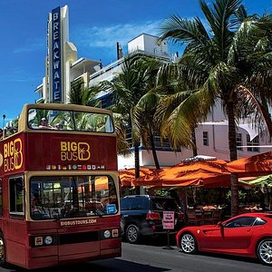 City Tour Miami PLUS (City Tour + Boat Tour) 2023 - Viator