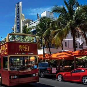 Jogo de basquete do Miami Heat - Avaliações de viajantes - American  Airlines Arena - Tripadvisor