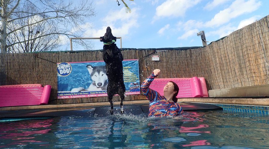 jumping