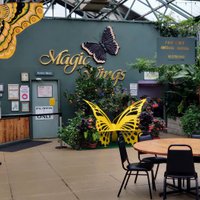 Magic Wings Butterfly Conservatory and Gardens (South Deerfield) - All ...