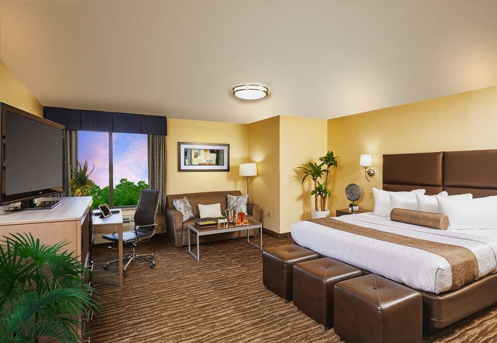 Hotel photo 30 of Best Western Plus Lewisville Flower Mound.