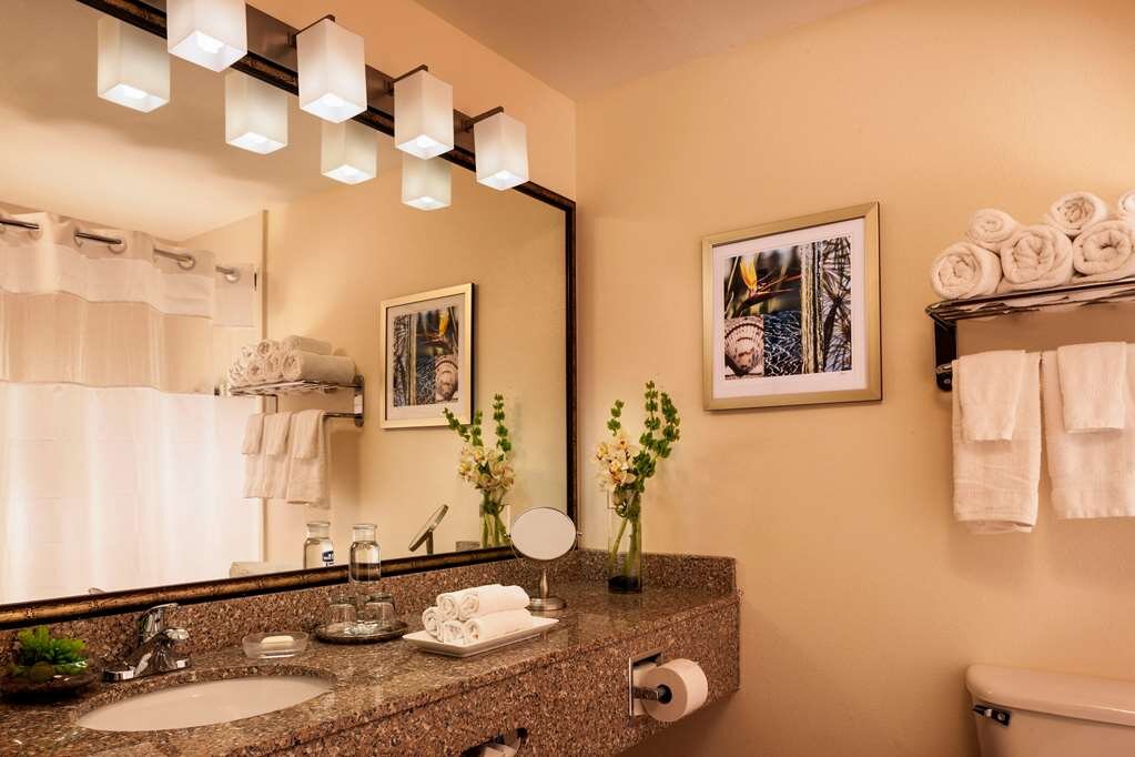 Hotel photo 14 of Best Western Plus Lewisville Flower Mound.