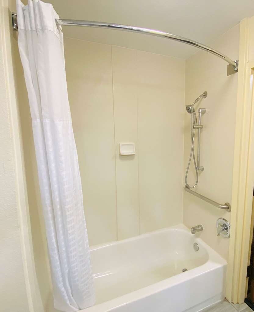 Hotel photo 3 of Best Western Plus Lewisville Flower Mound.