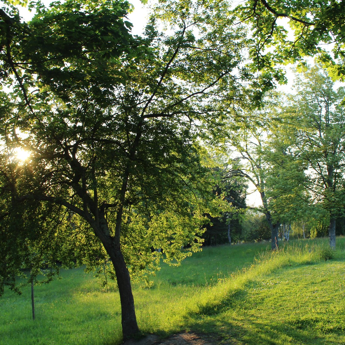 Arboretum de Lisieux | Ville de Lisieux | UPDATED September 2022 Top ...