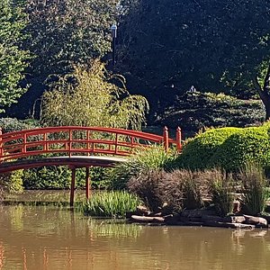 japanese gardens usq qld tours