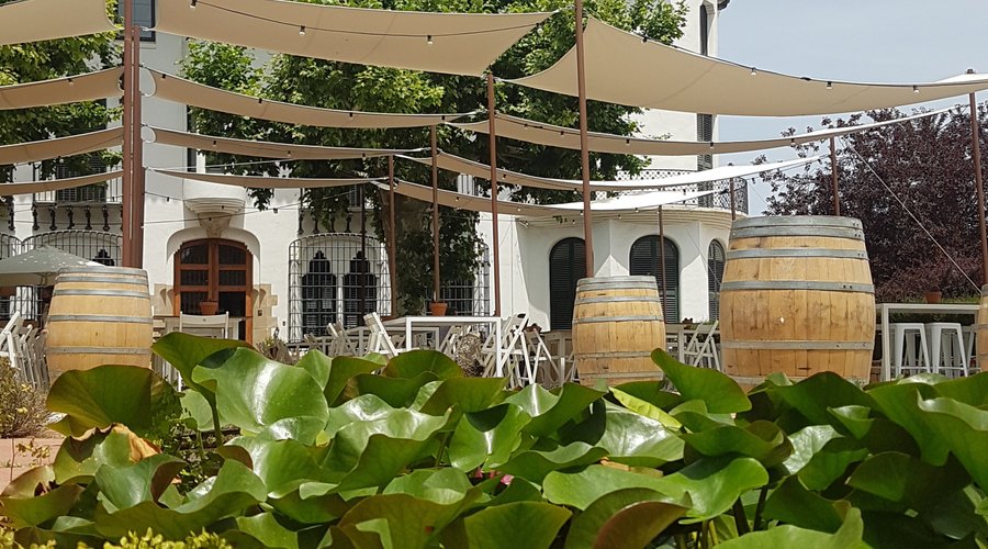 Restaurante de la bodega y su jardín.