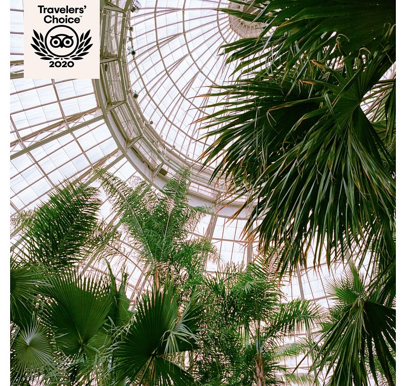 Greenery and atrium at Enid A. Haupt Conservatory at the Bronx Botanical Garden