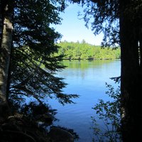 Brewster Peninsula Nature Trails (Lake Placid) - All You Need to Know ...