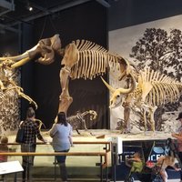 Natural History Museum of Utah - All You Need to Know BEFORE You Go (2024)