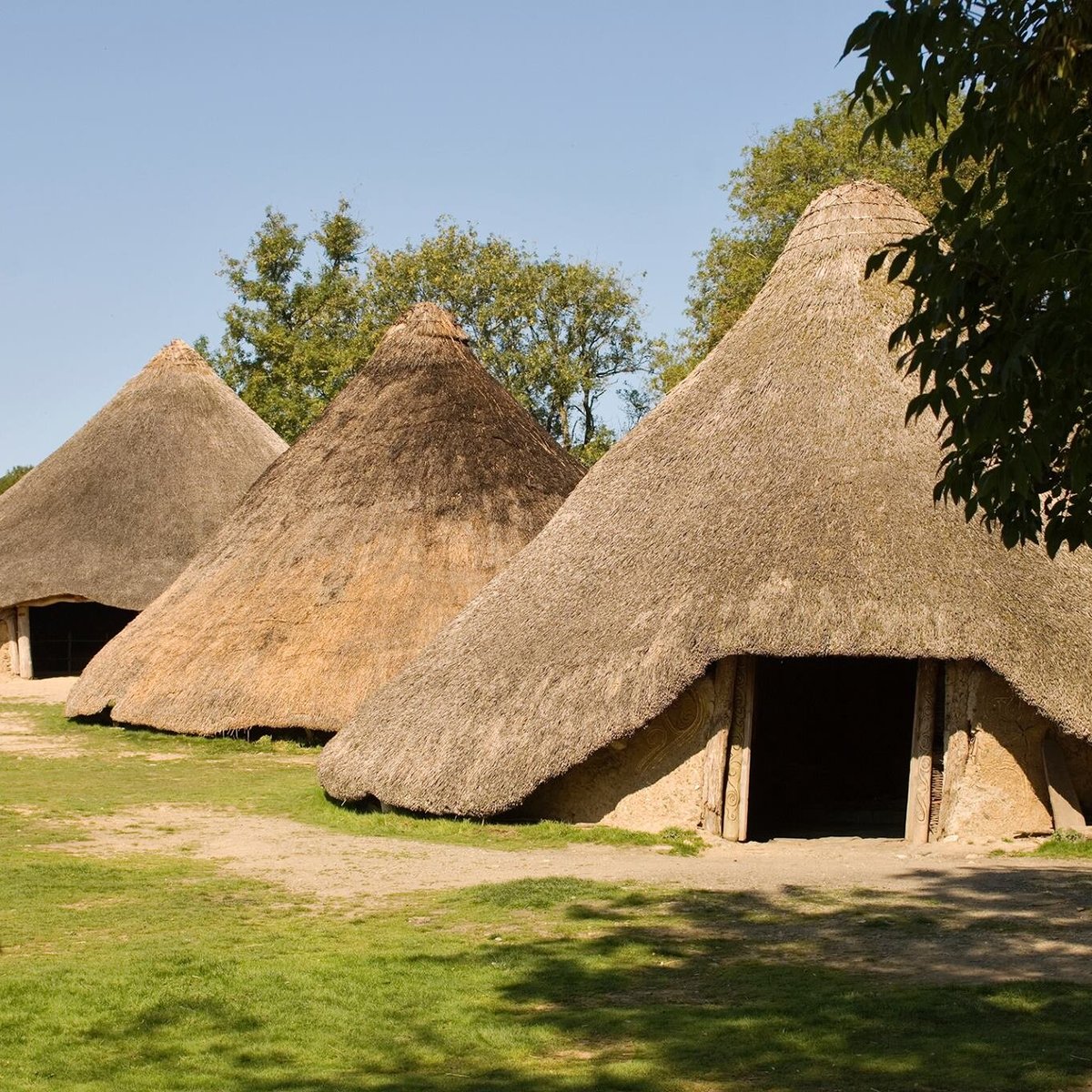 Castell Henllys Iron Age Village (Crymych, Wales): Hours, Address, Free ...