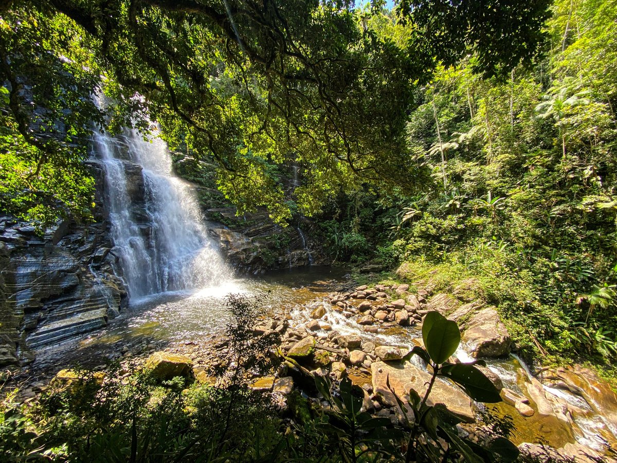 Excursão de 2 horas a pé da histórica cidade de Paraty, Brasil: experiência  oferecida por Paraty Explorer - Tripadvisor