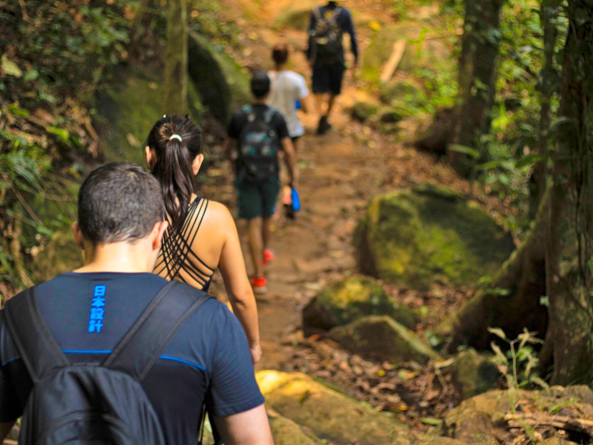 Excursão de 2 horas a pé da histórica cidade de Paraty, Brasil: experiência  oferecida por Paraty Explorer - Tripadvisor