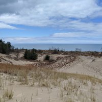 Warren Dunes State Park (Bridgman) - All You Need to Know BEFORE You Go