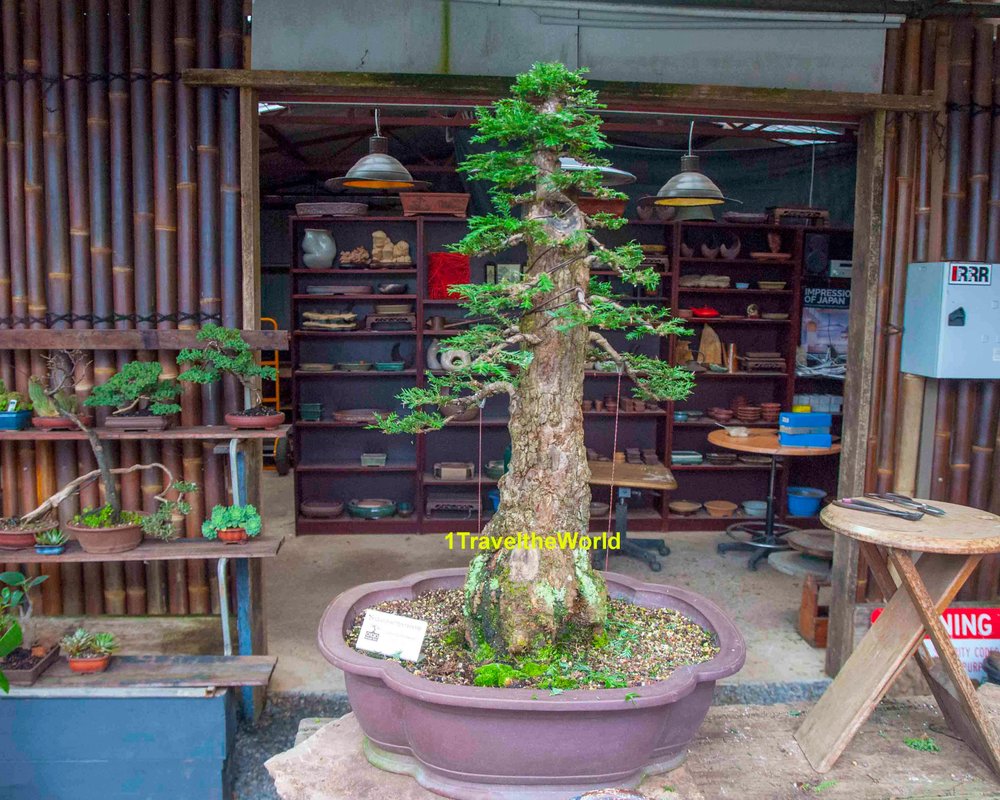THE 10 BEST Things to Do in Sassafras Tripadvisor