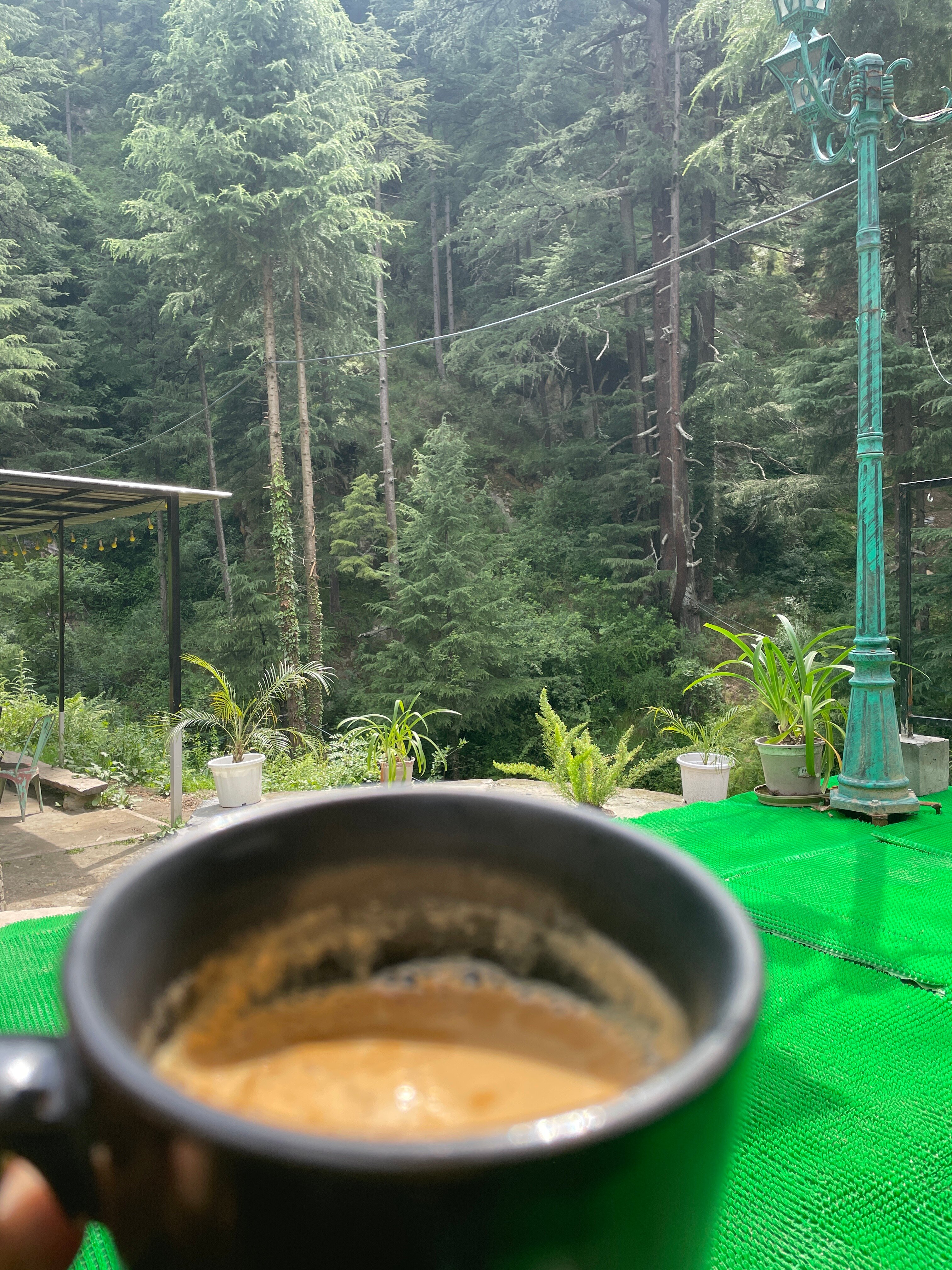 THE HOSTELLER KASOL - Updated 2024 Prices & Hostel Reviews (India)