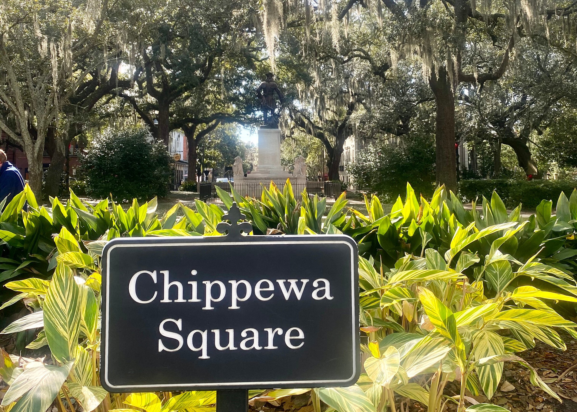 Explore Savannah All You Need To Know Before You Go