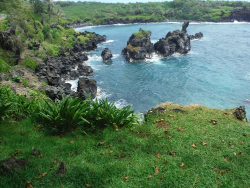 Maui Bkbak review images