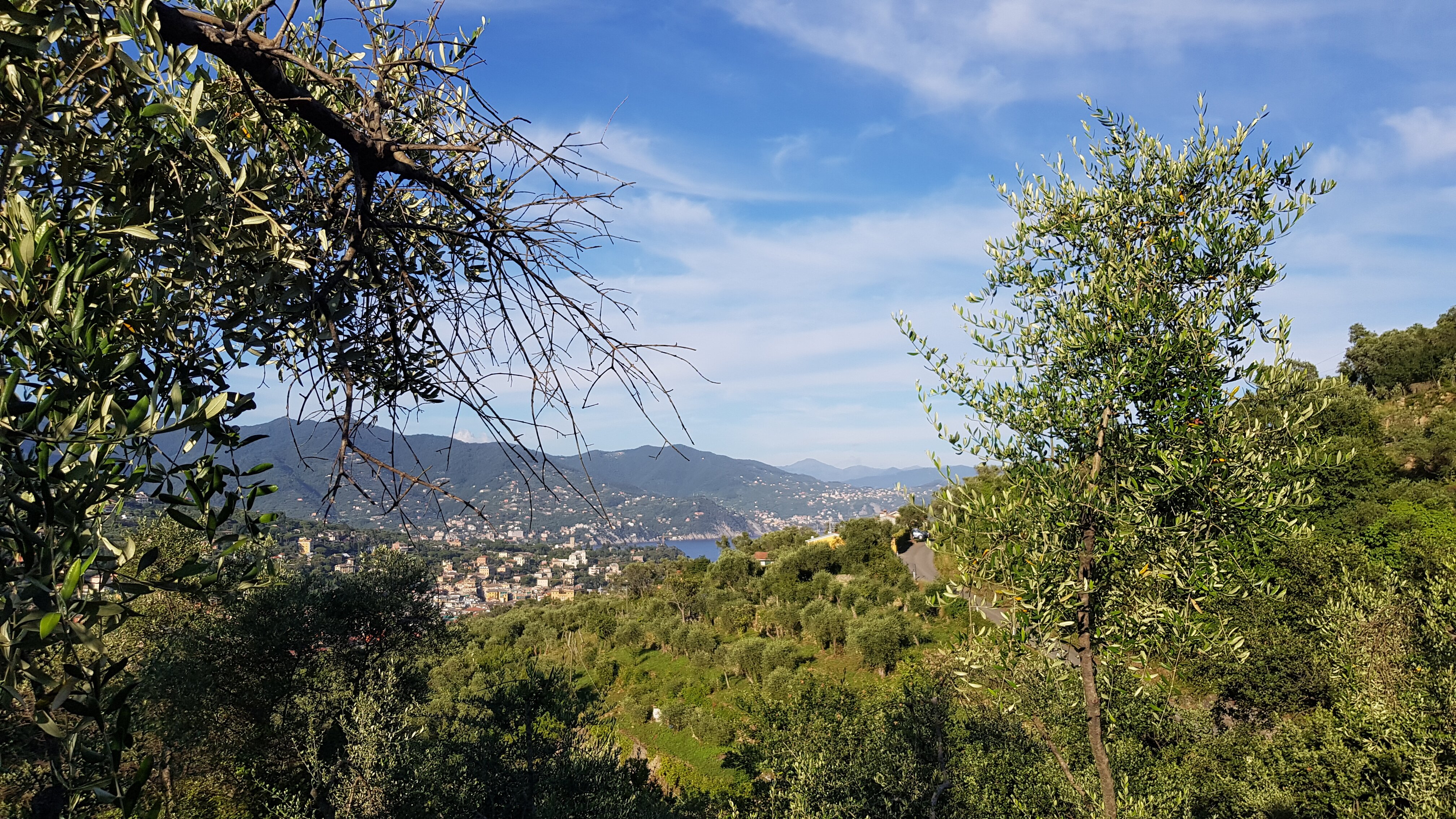 Agriturismo Oasi Del Tigullio B&B (Santa Margherita Ligure, Italie ...