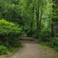 Muttontown Preserve, Oyster Bay