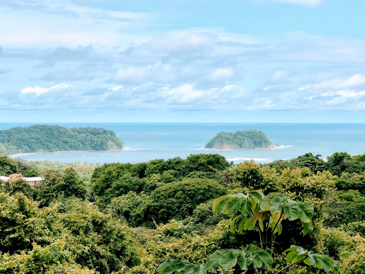 Wingnuts Canopy Tours (Playa Samara) - All You Need to Know BEFORE You Go