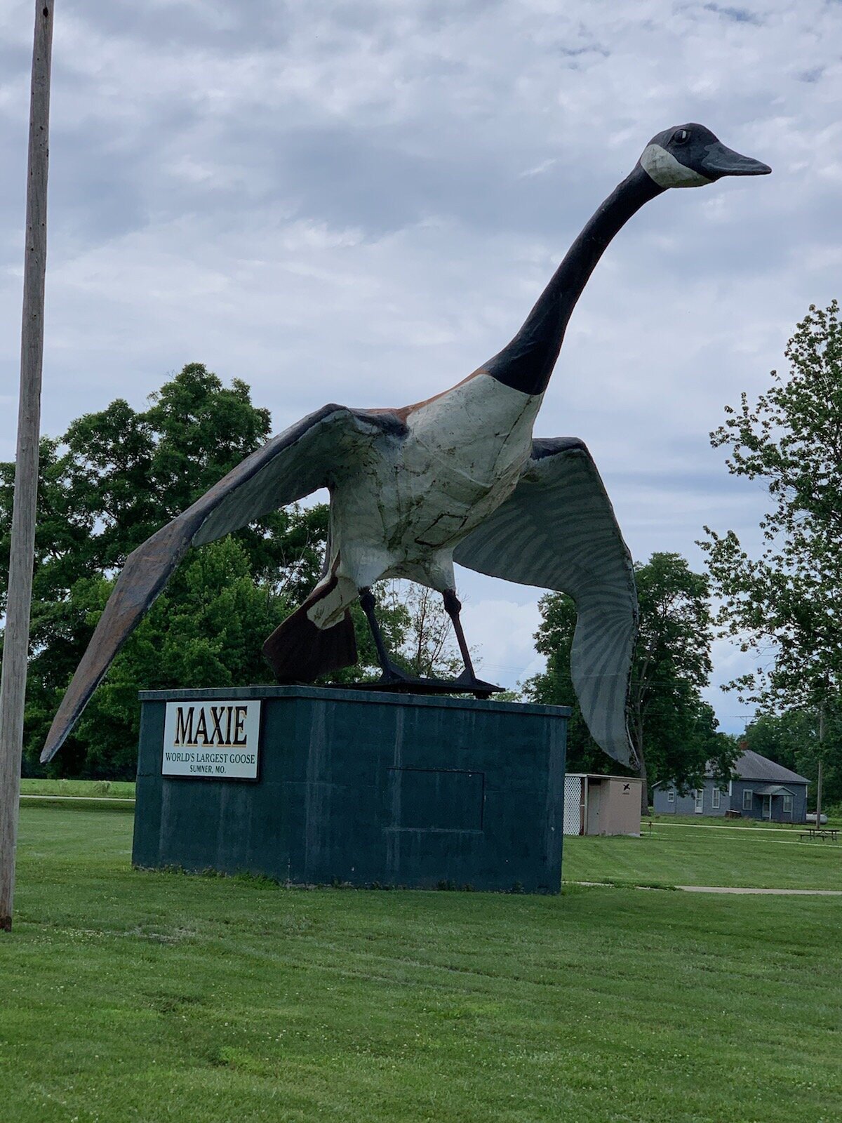 World's largest discount canada goose statue