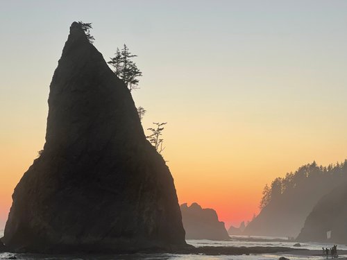 Olympic National Park GinaHx review images