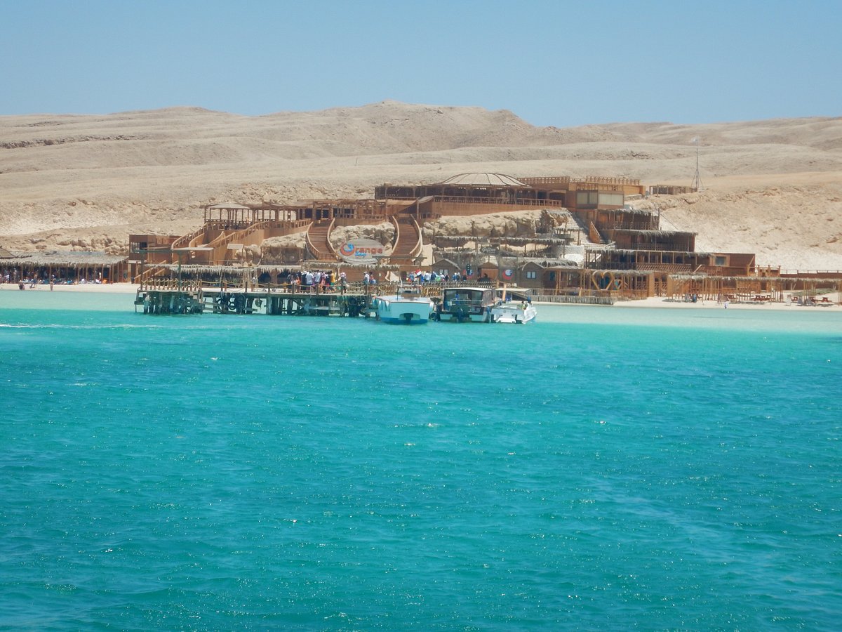 Dolphin House Hurghada, Эль-Гуна: лучшие советы перед посещением -  Tripadvisor