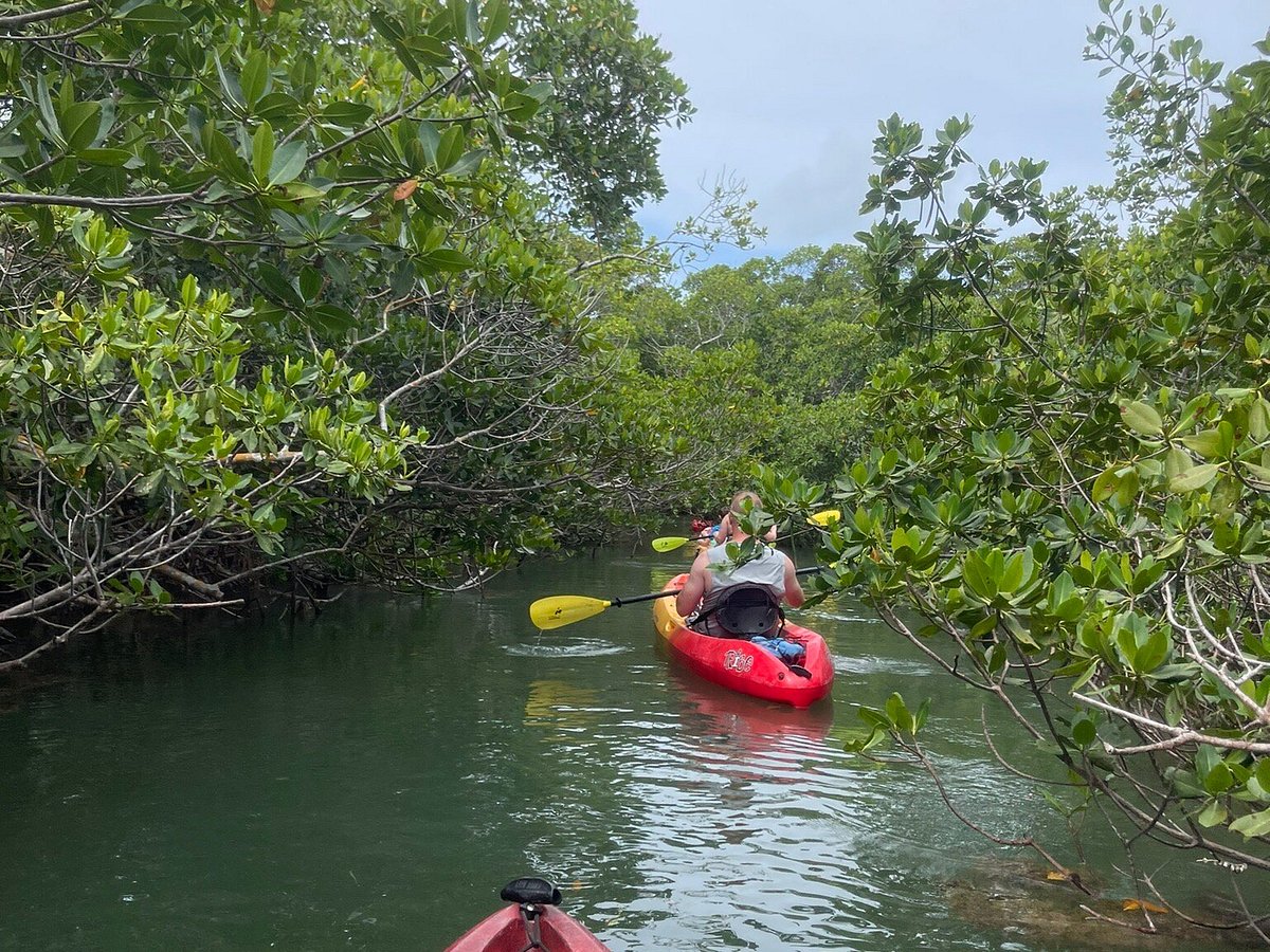 marathon fl kayak tours