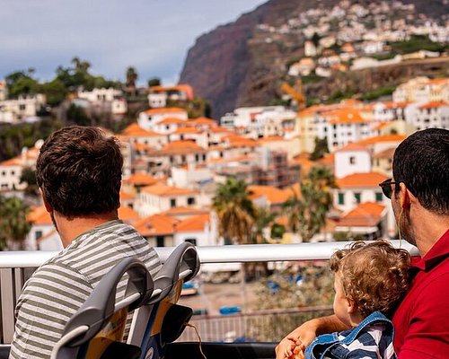 day tours from funchal madeira
