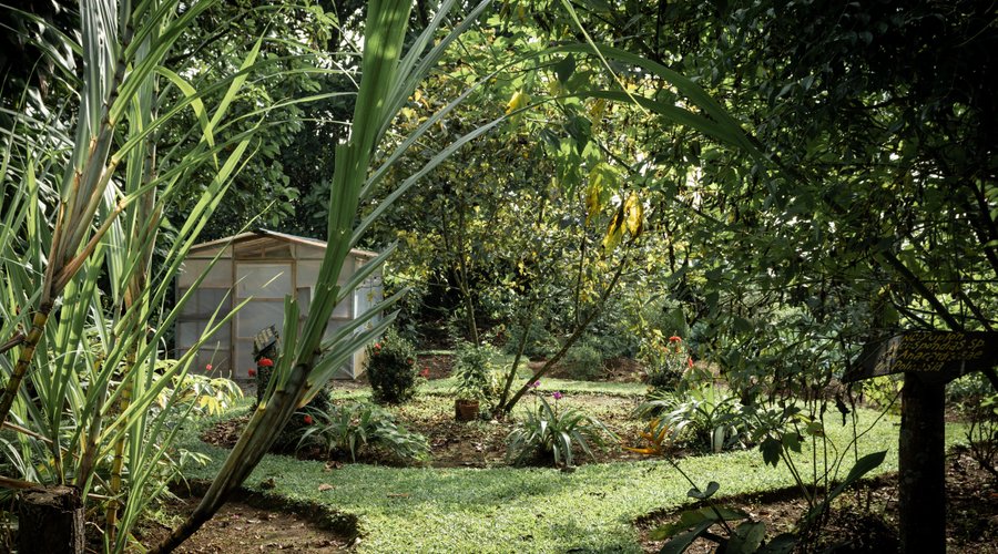 Finca Paraiso Organico, La Fortuna Costa Rica. Take care of mother earth, and she'll take care of you ;)