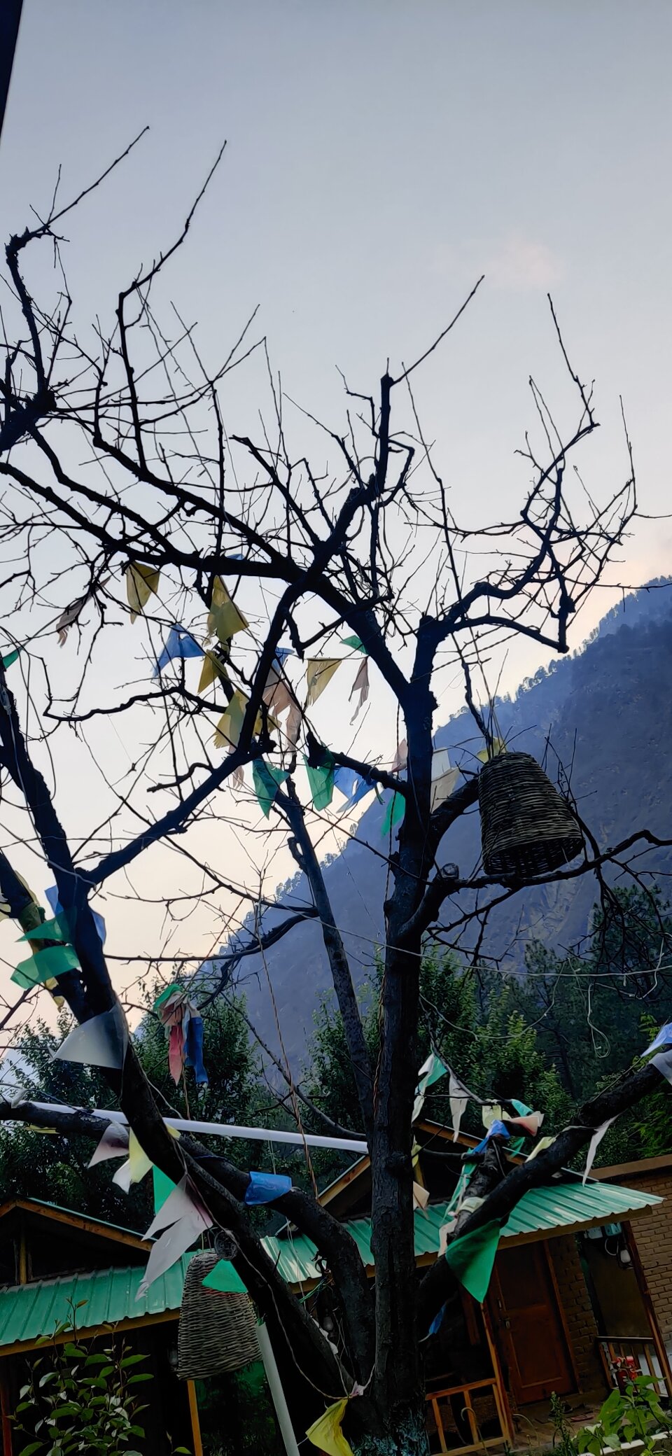 CHALO KASOL HUTS AND CAMPS (Himachal Pradesh) - Campground Reviews ...