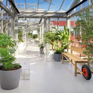 Zoku CPH b