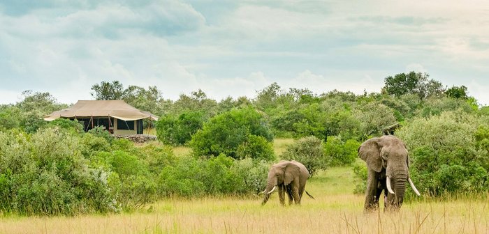 MATTIKOKO SAFARI CAMP - Updated 2024 Campground Reviews (Lemek, Kenya)