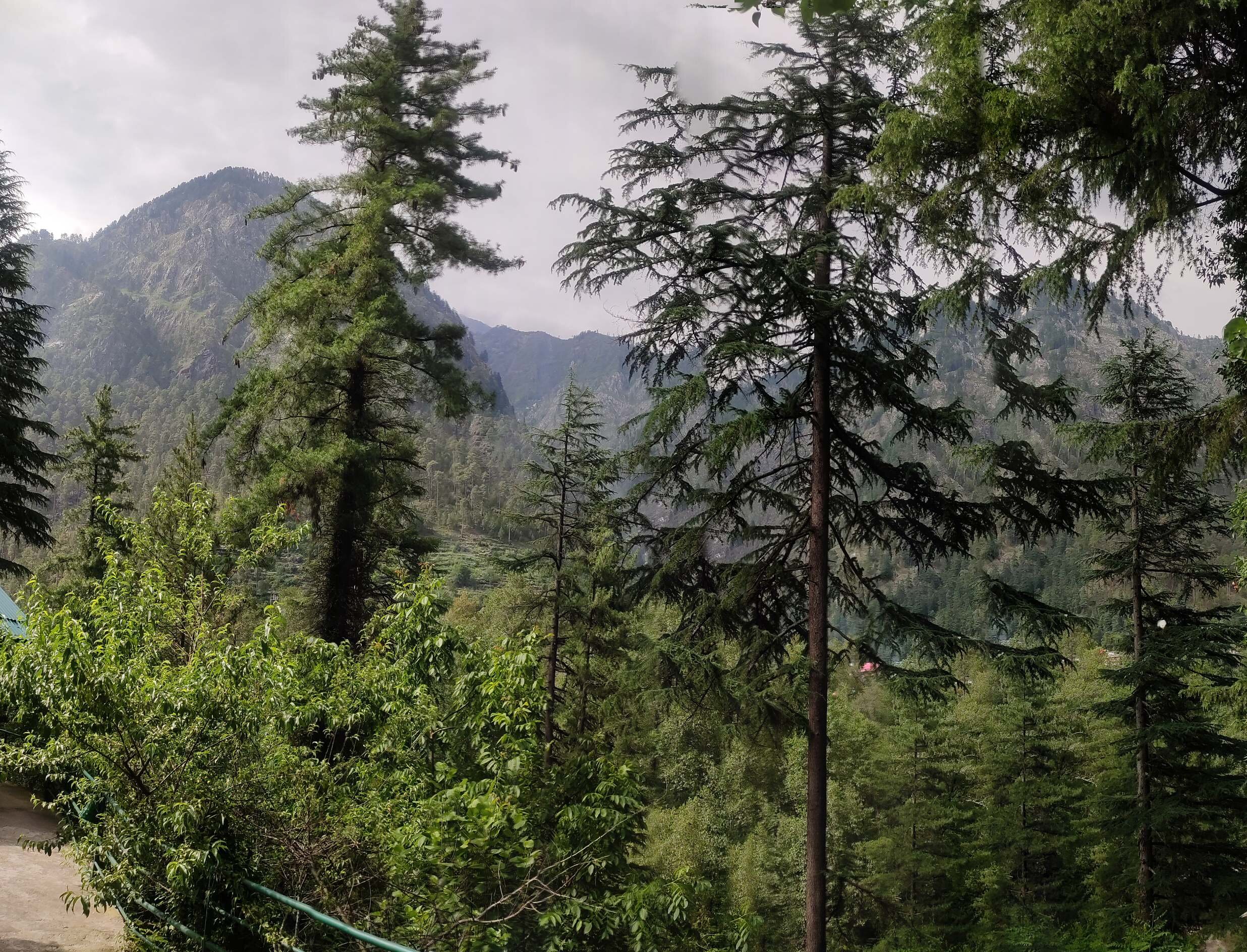 PARVATI KUTEER - Updated 2024 Prices & Hotel Reviews (Kasol, India)