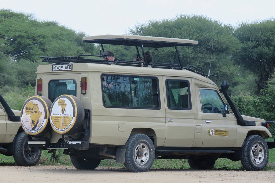 safari resort tripadvisor