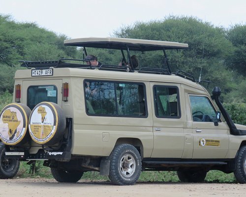 camper top safari rack