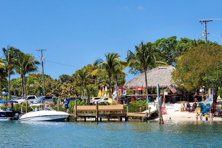 2024 Dolphin Sightseeing Tikibar Hopping Boat Tour