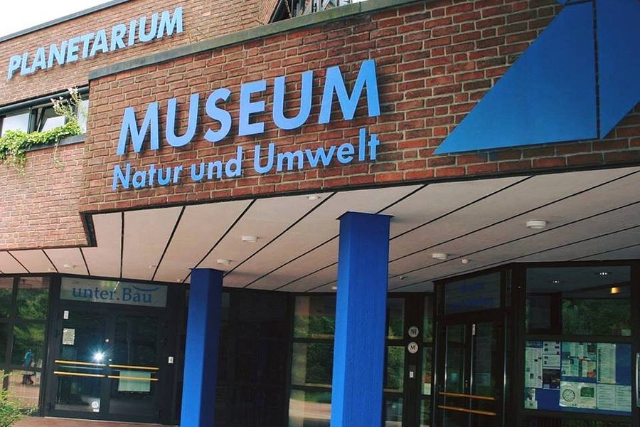 Museum am Schölerberg image