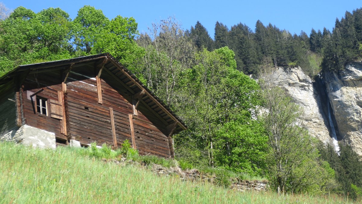 Fogo e Água 1 no Templo da Floresta em Tela Cheia