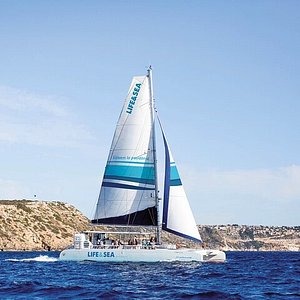 mallorca catamaran