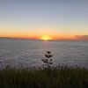 aussietravellerruby