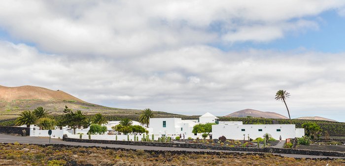 Imagen 2 de El Grifo - Museo del Vino