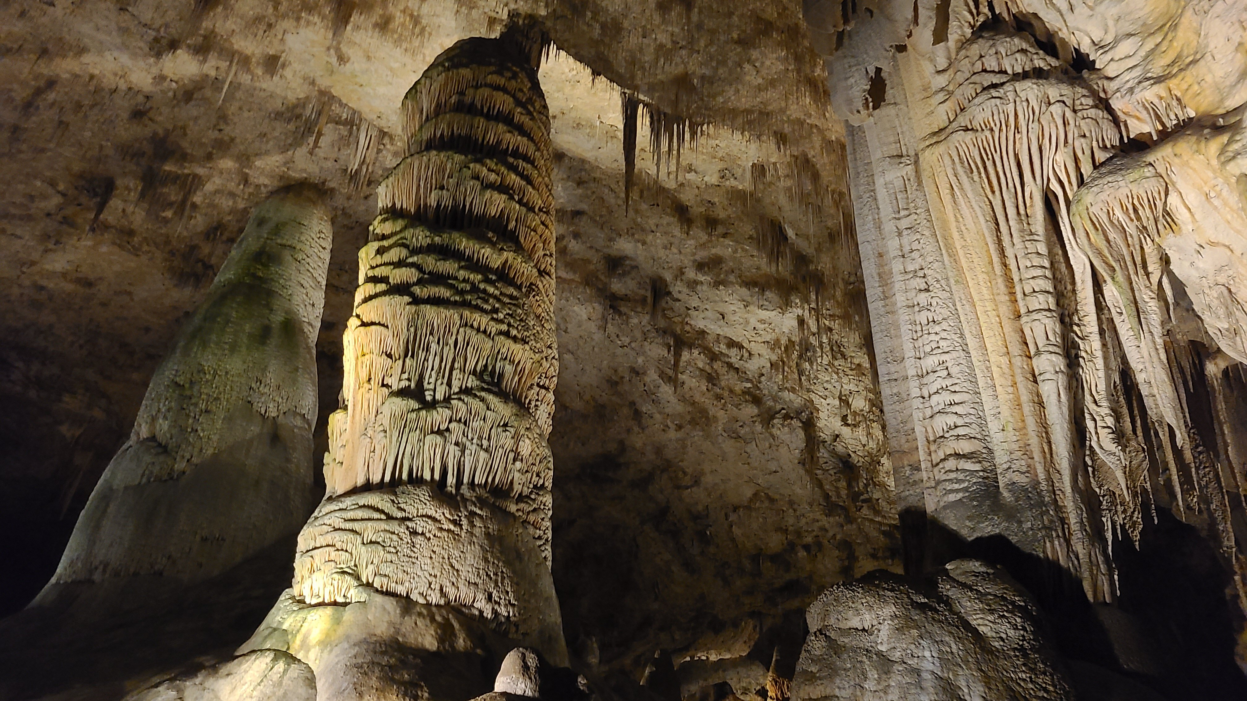 Carlsbad Caverns Natural Entrance Tour (Carlsbad Caverns National Park ...