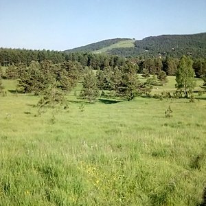Mountain flora and fauna.,magnificent views.