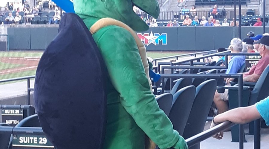 Mascot - River Turtle