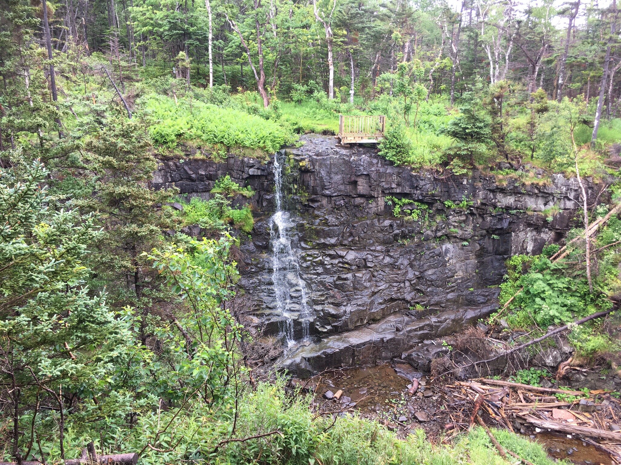 Delaps cove wilderness trail store